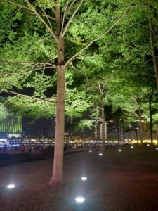 广州珠江两岸2017年亮化实景